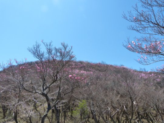 画像33